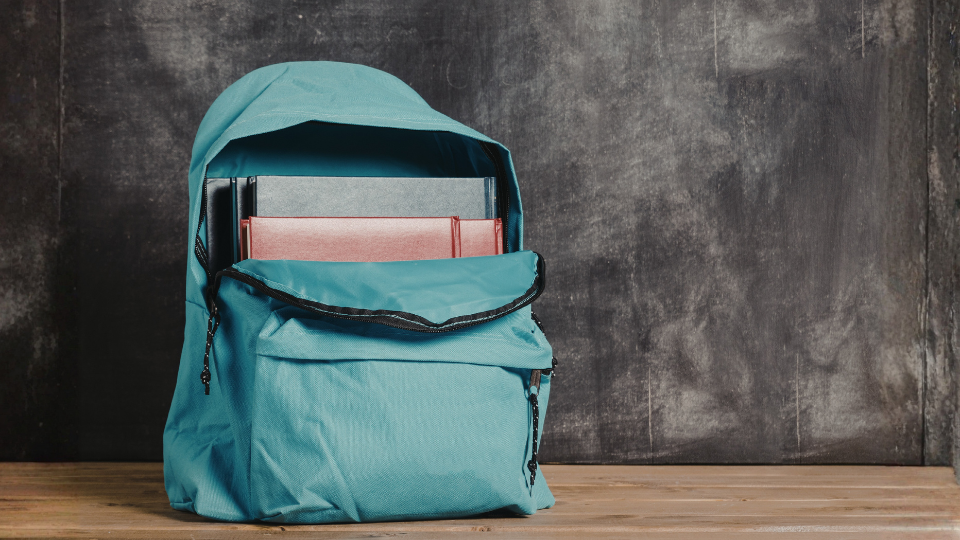 Top Mous Backpack Picks for Travelers, Students & Professionals in 2026